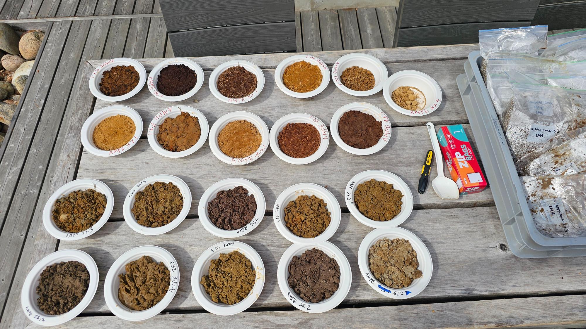 Field work, June 10, 2026