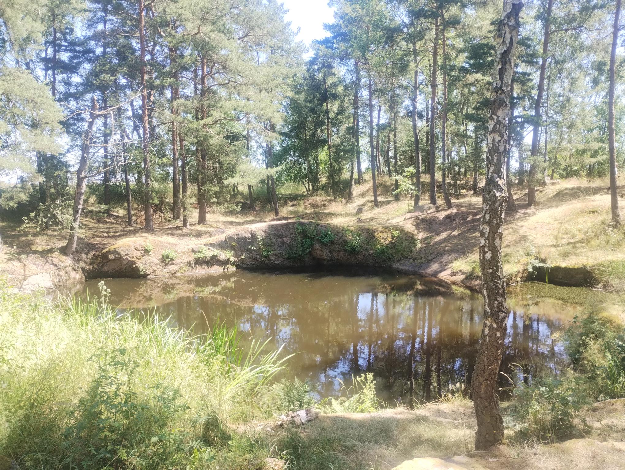 Field work, July 1, 2025