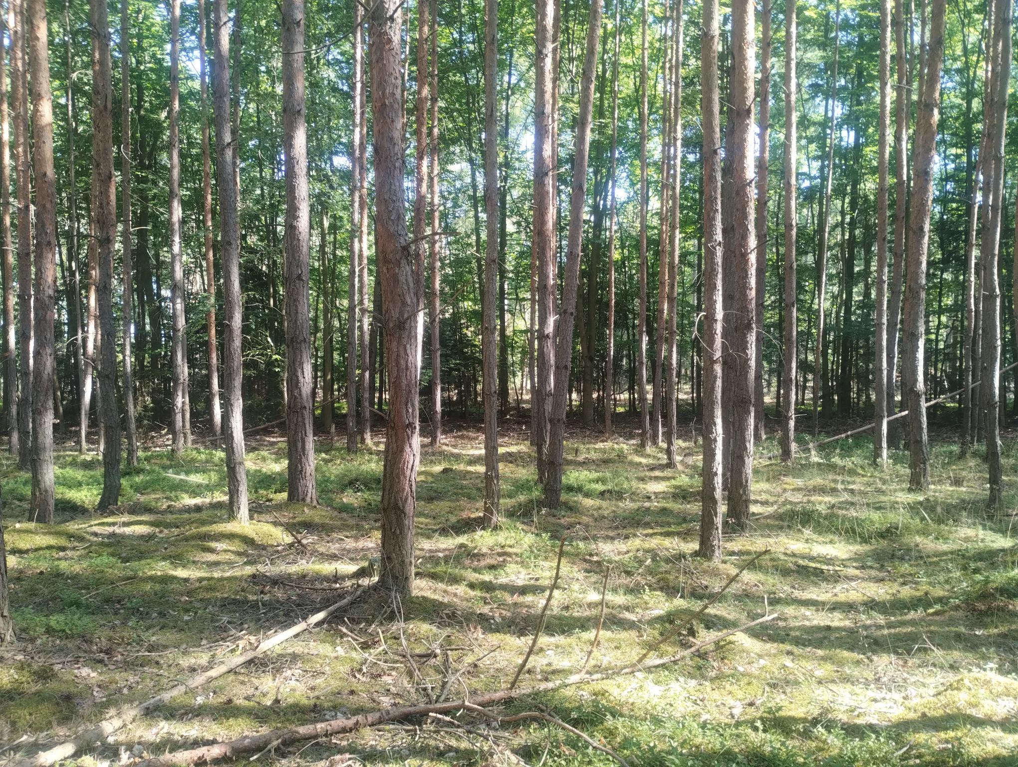 Field work, July 2, 2025