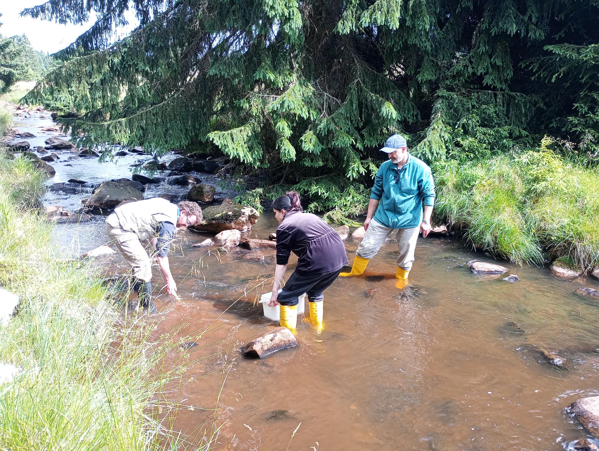 Field work, July 8, 2025